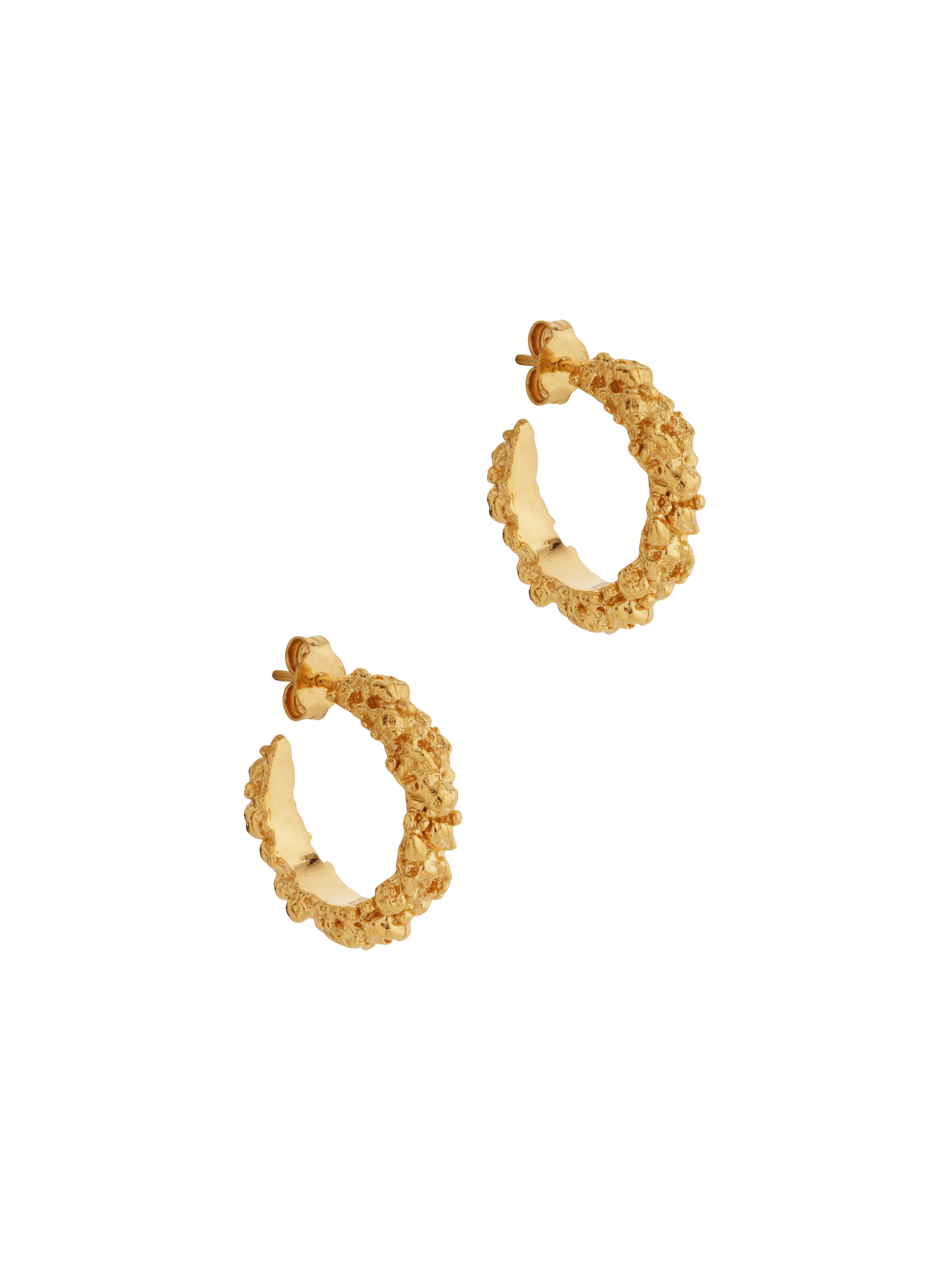 A pair of The Garden Hoops by Cremilde Bispo Jewellery in Gold Plated Silver, with hand-carved nature inspired motifs.