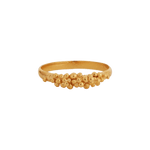 Gold ring with a front full of granites.
