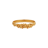 Gold ring with a front full of granites.